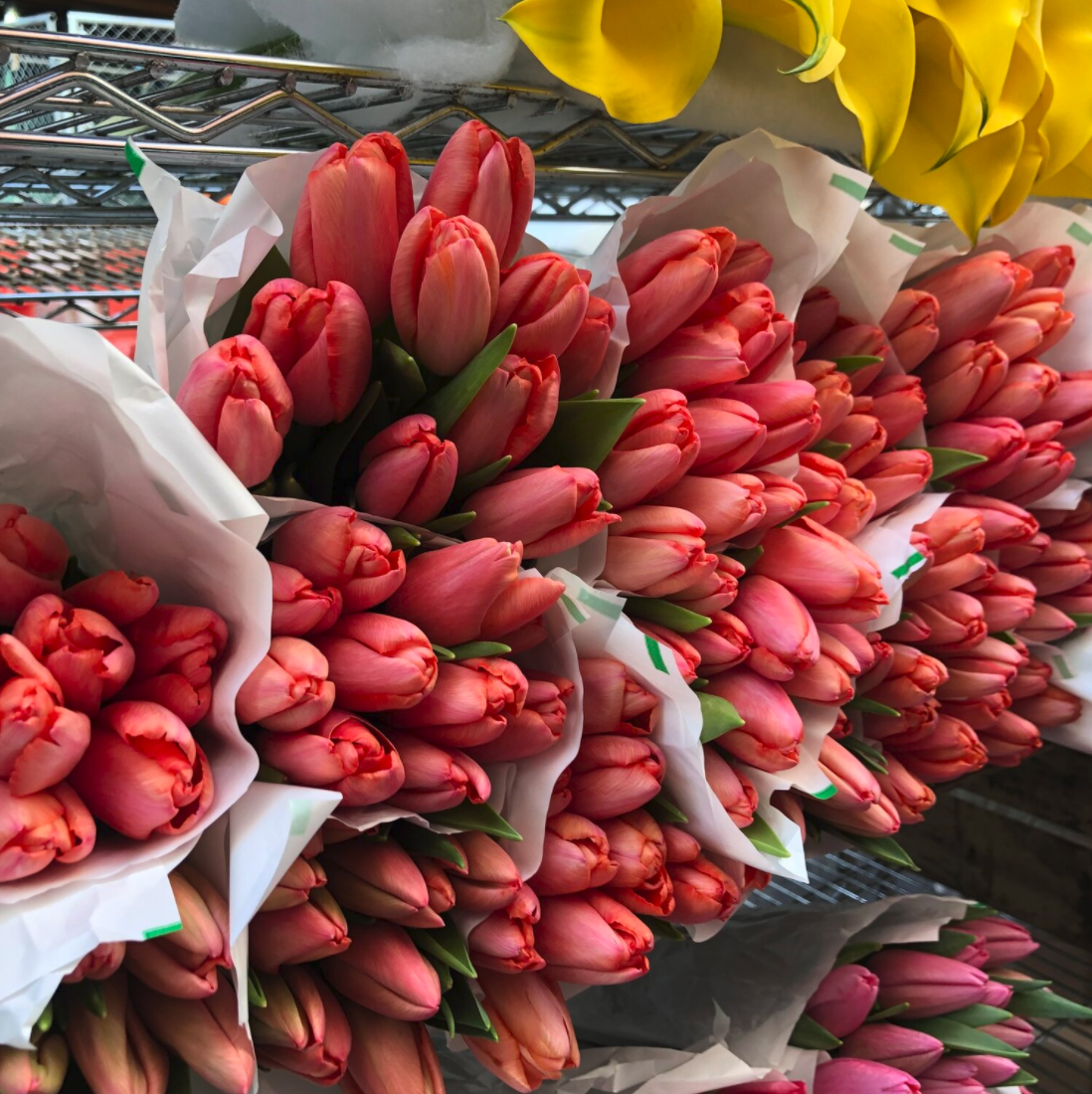 Floral Studio NYC Tulips